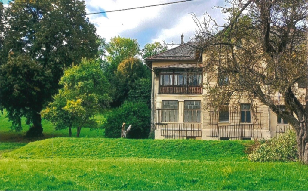 6995603fafe1f554c31715b5_Villa Marienheim_Scan